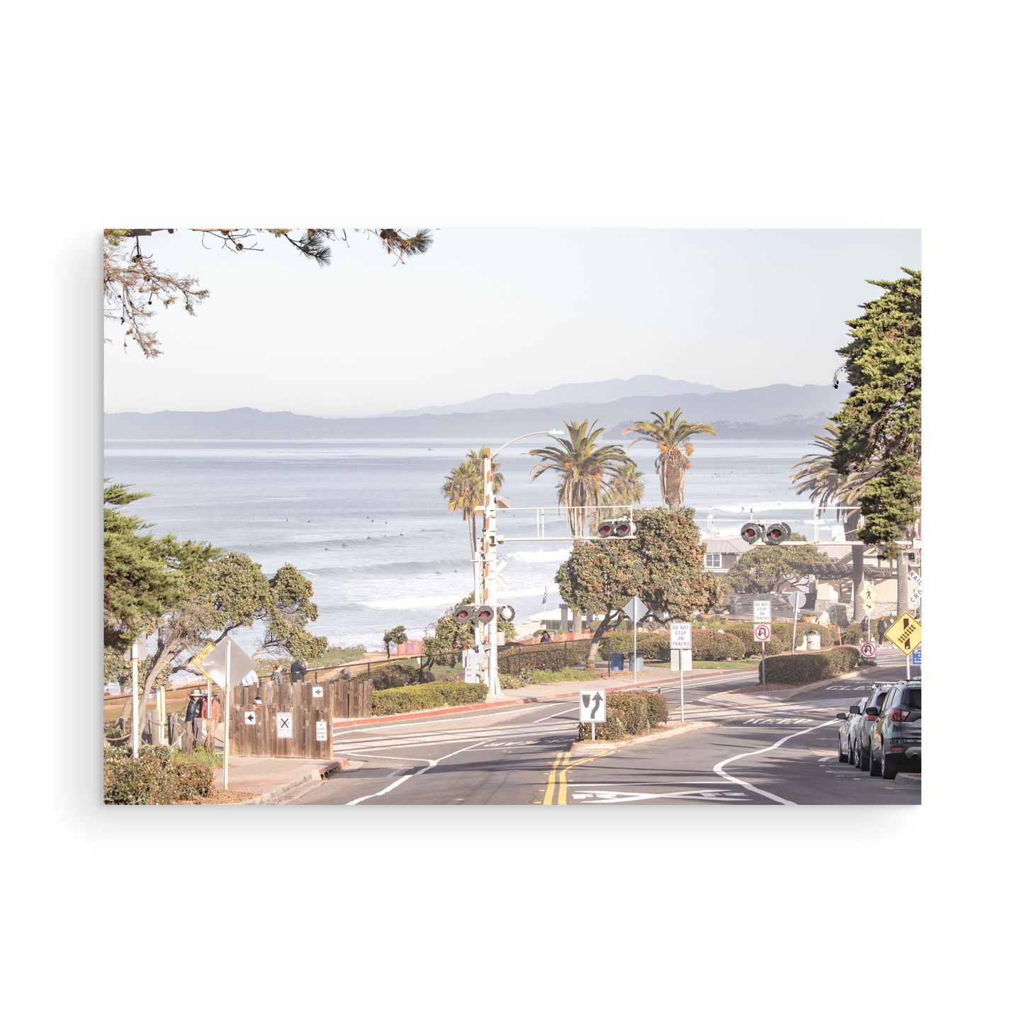 Photography by Kim Dybczak of: Palm trees line the coast, rising above the shoreline and open water.