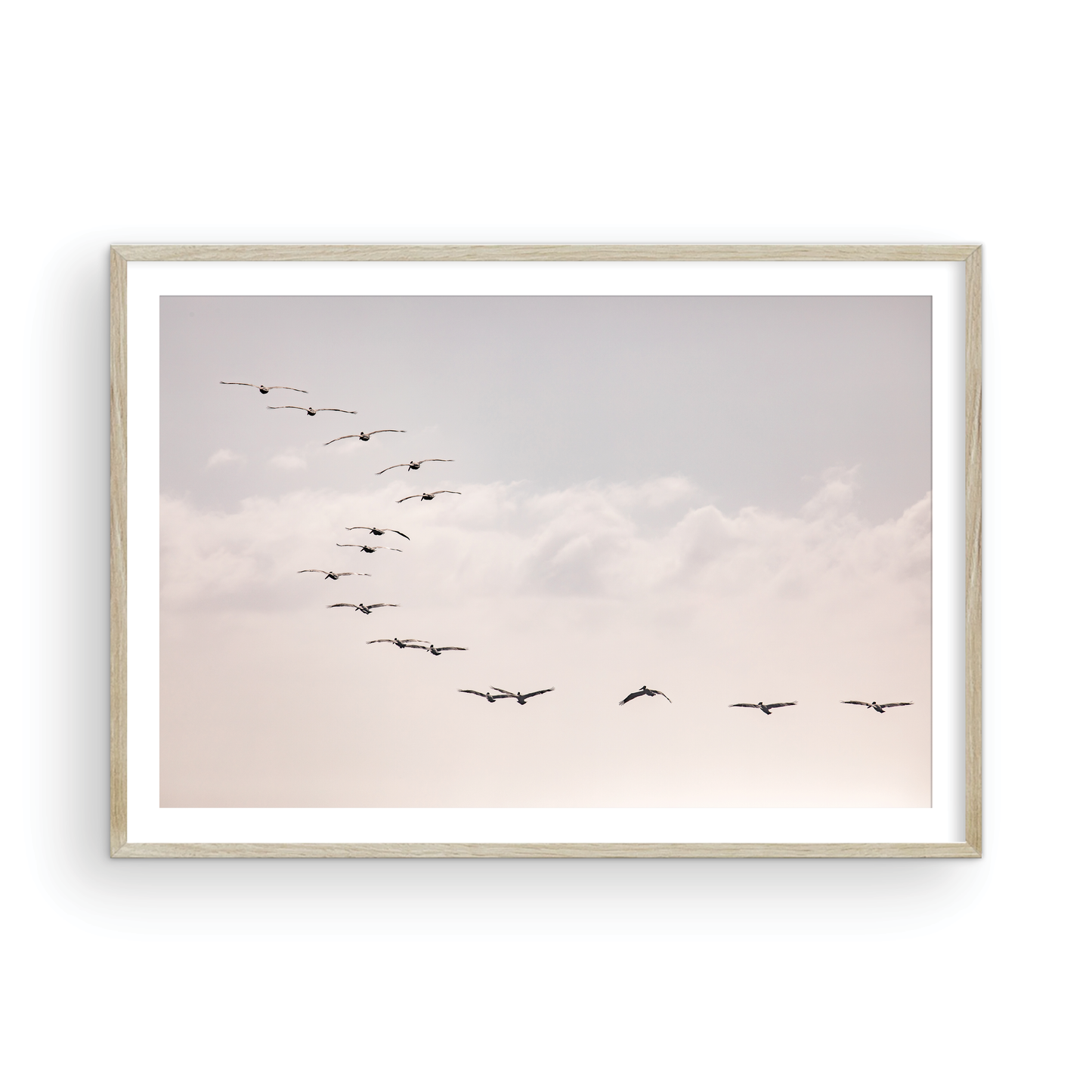 Birds at Sunset 5319