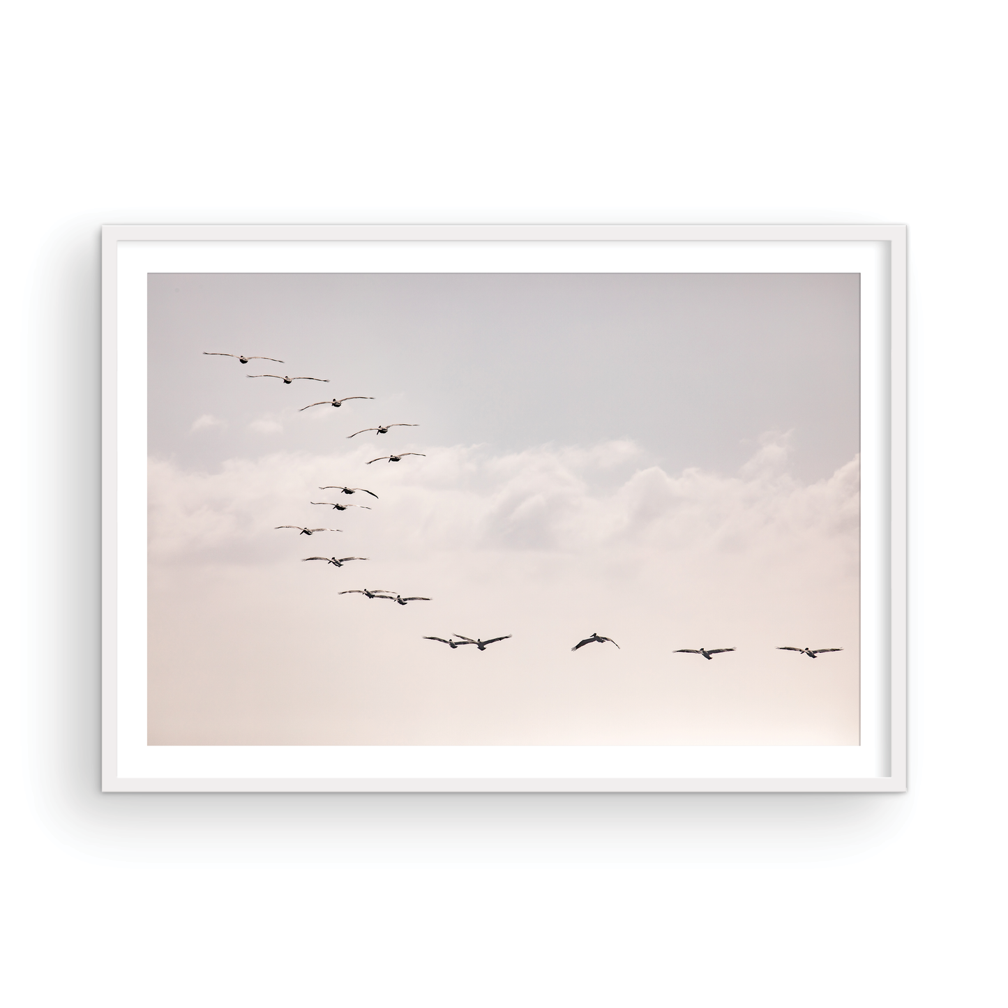 Birds at Sunset 5319