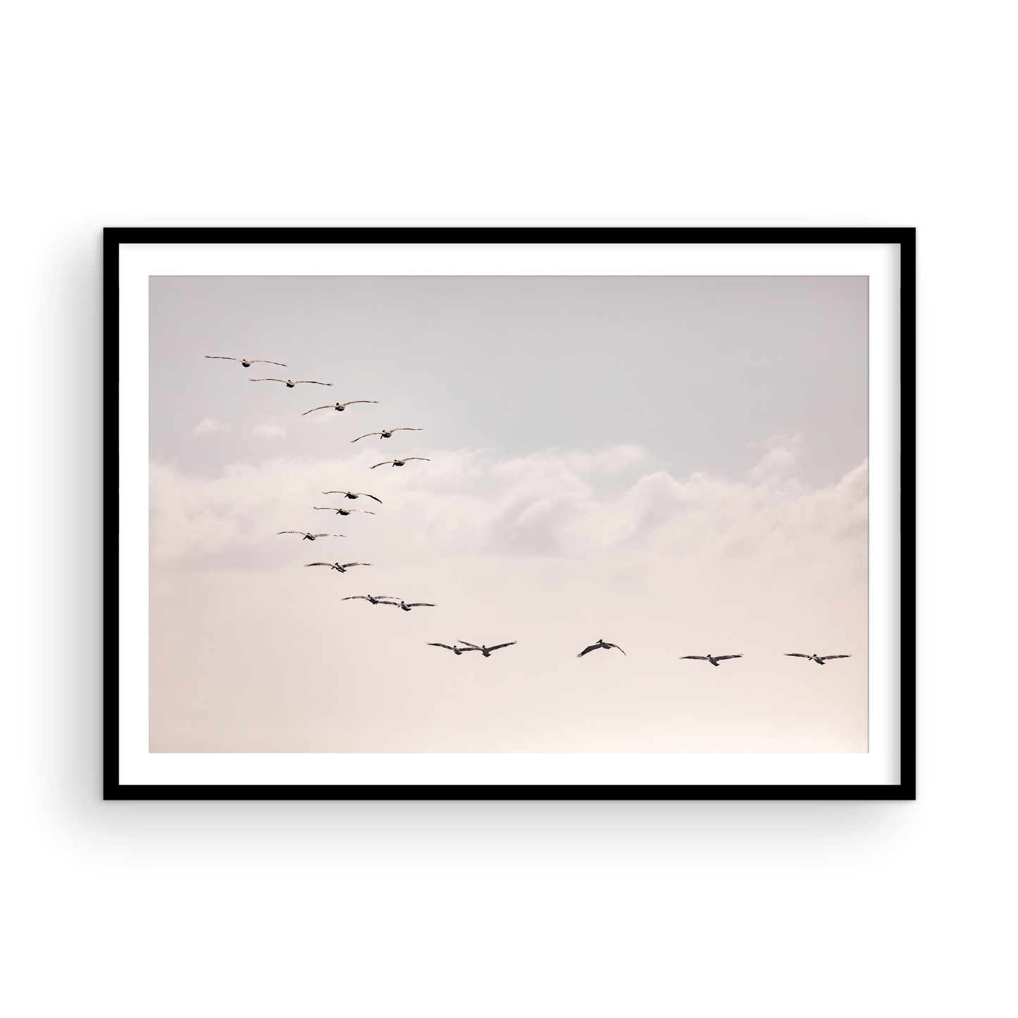 Birds at Sunset 5319