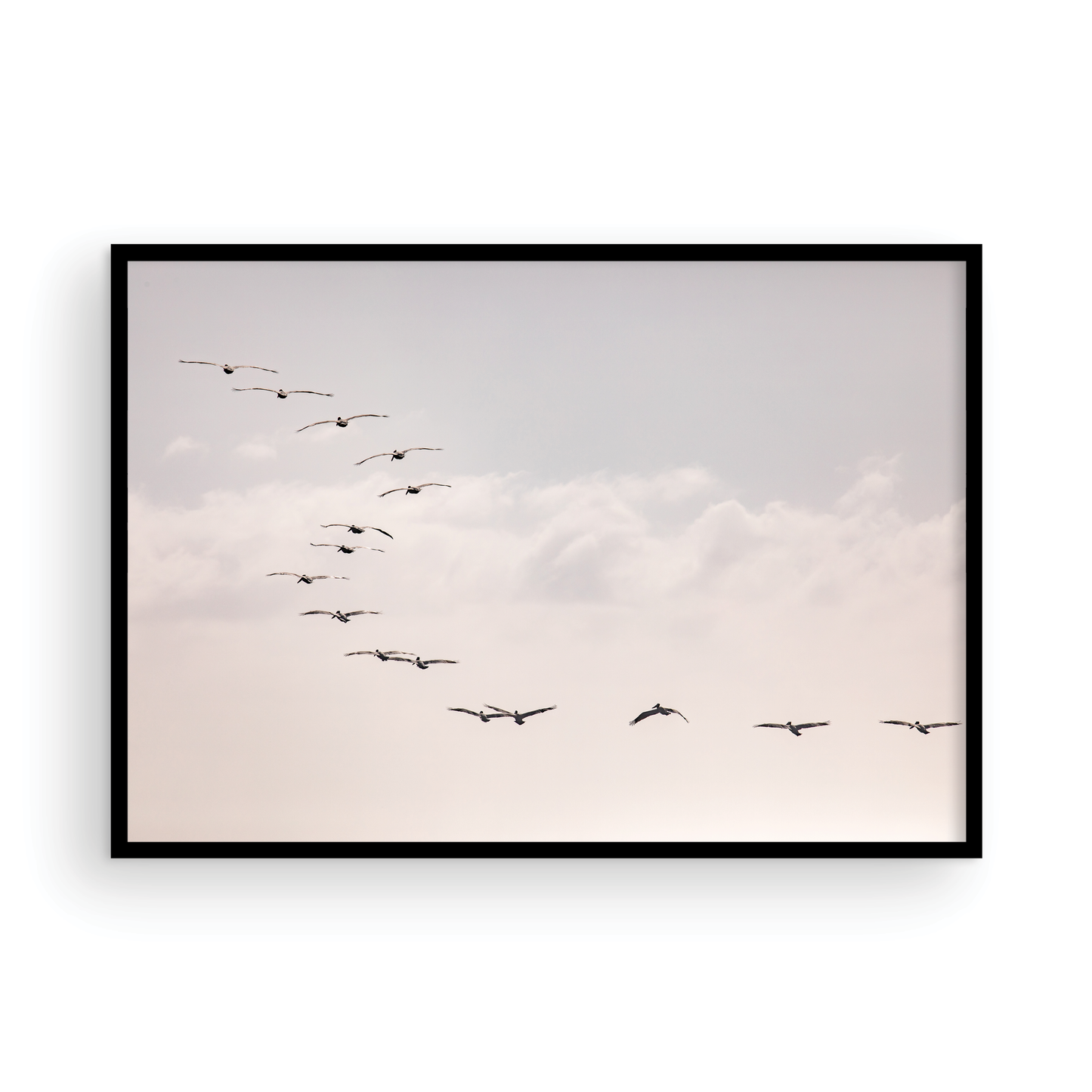 Birds at Sunset 5319