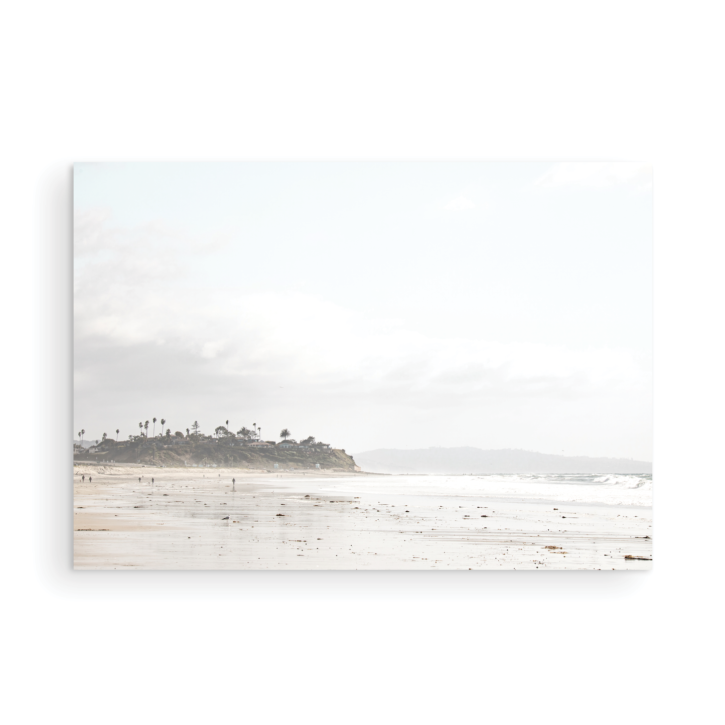 Cardif by the Sea 5187