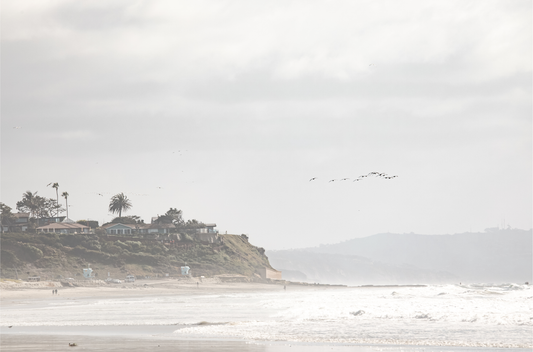 Cardif by the Sea 5200