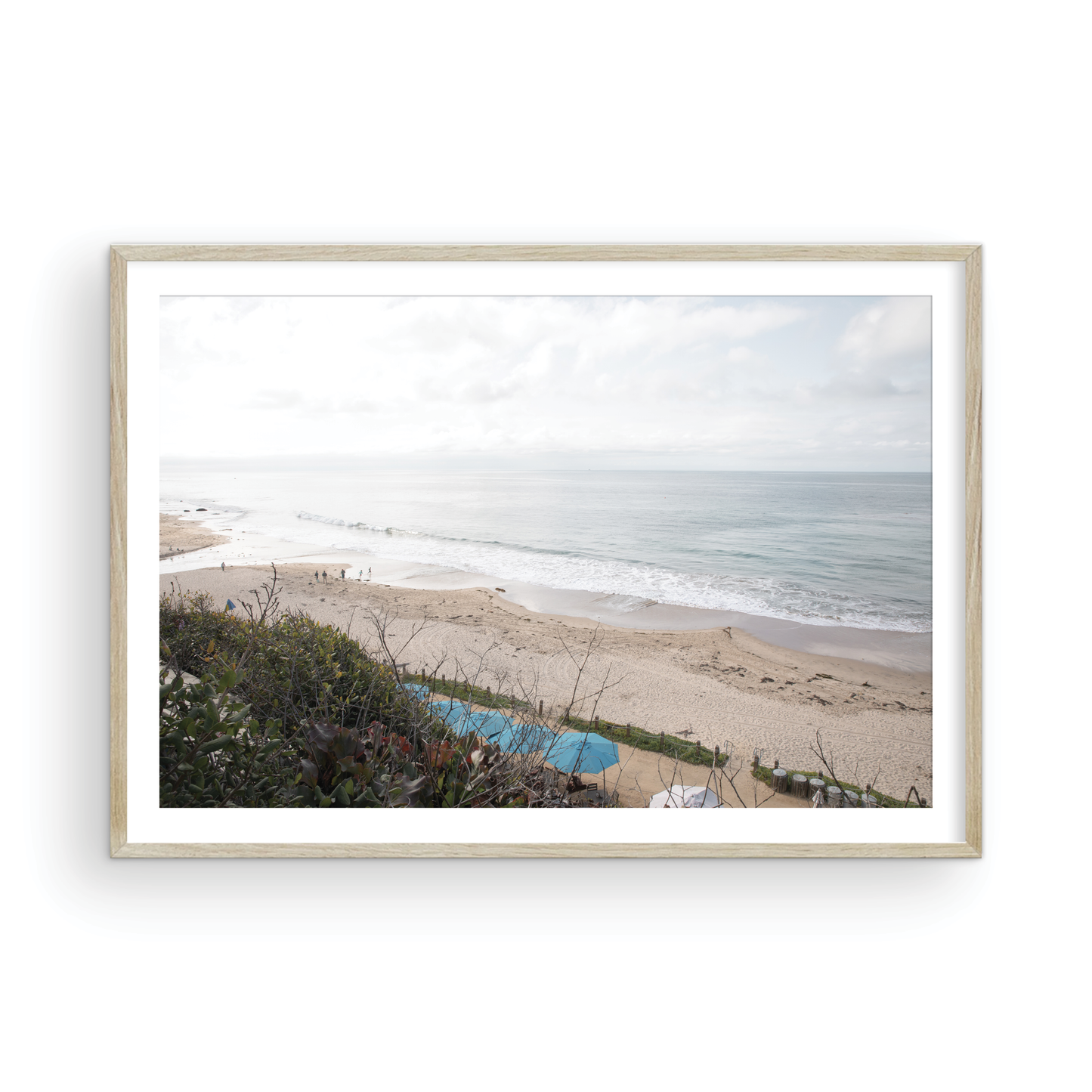 Crystal Cove 6376