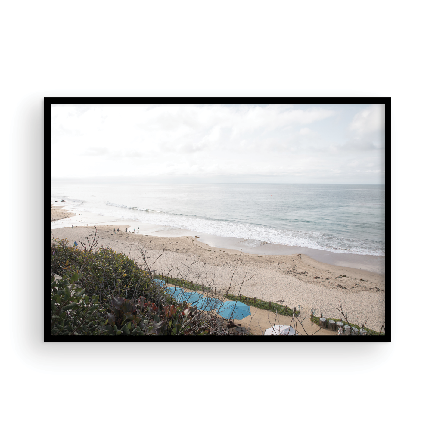 Crystal Cove 6376