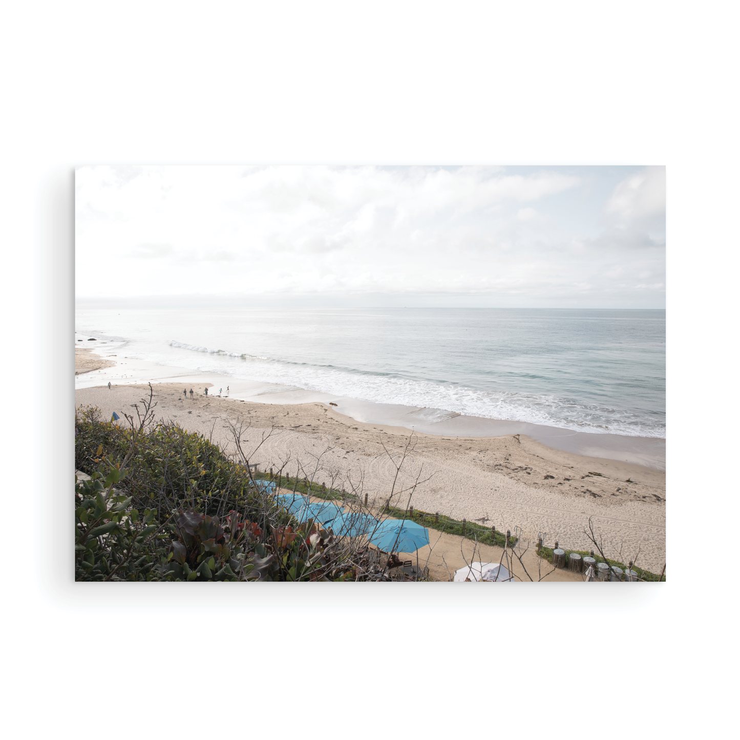 Crystal Cove 6376