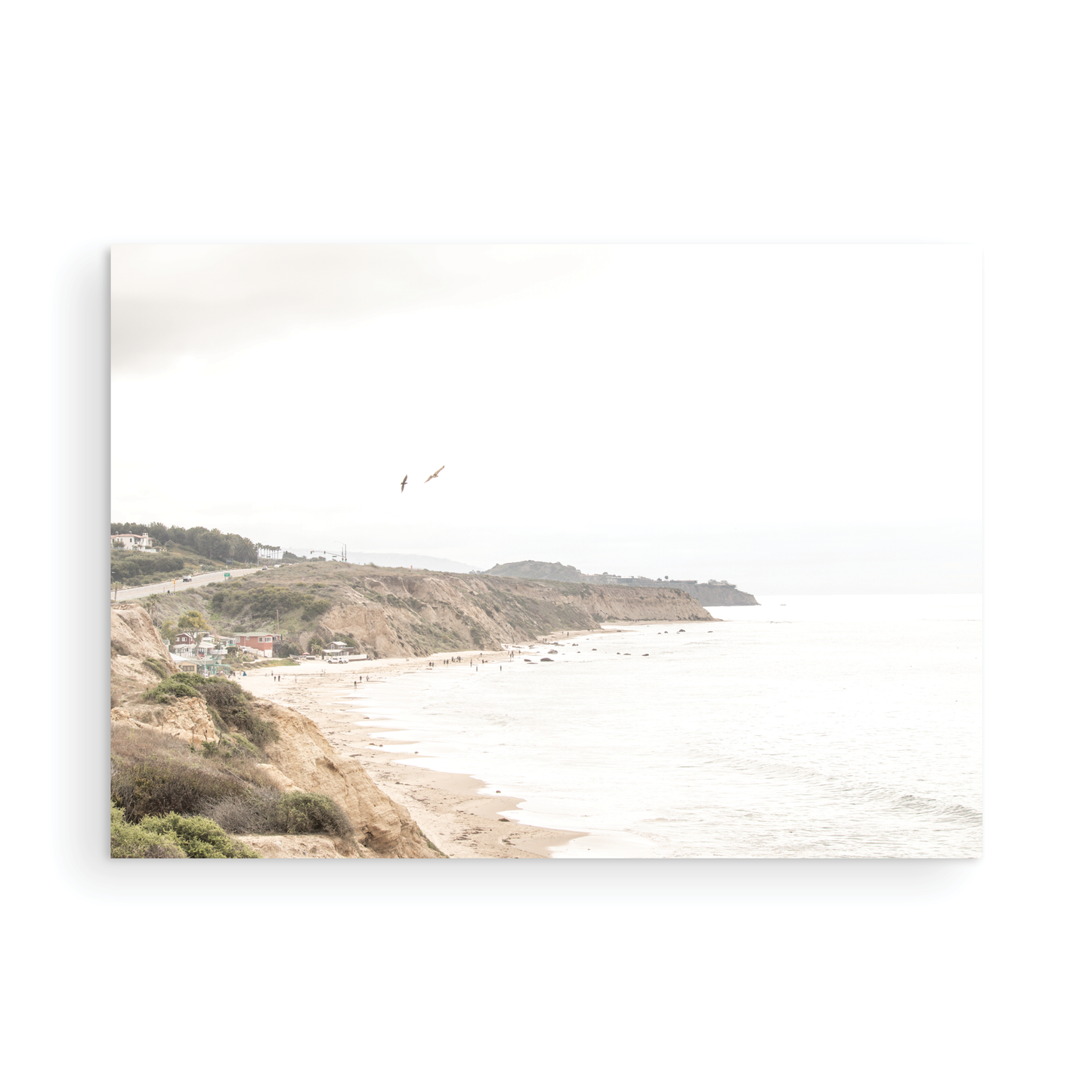 Crystal Cove 6417