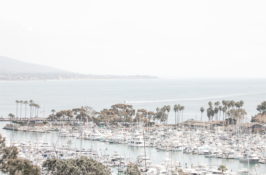 Horizontal nautical wall print featuring a marina with boats and palm trees on a foggy day, white boats docked at the San Diego harbor.