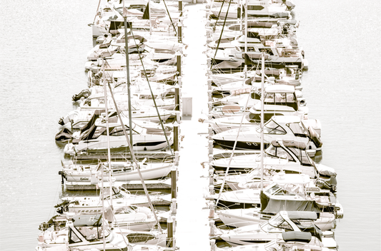 Lined white boats docked at the San Diego harbor.