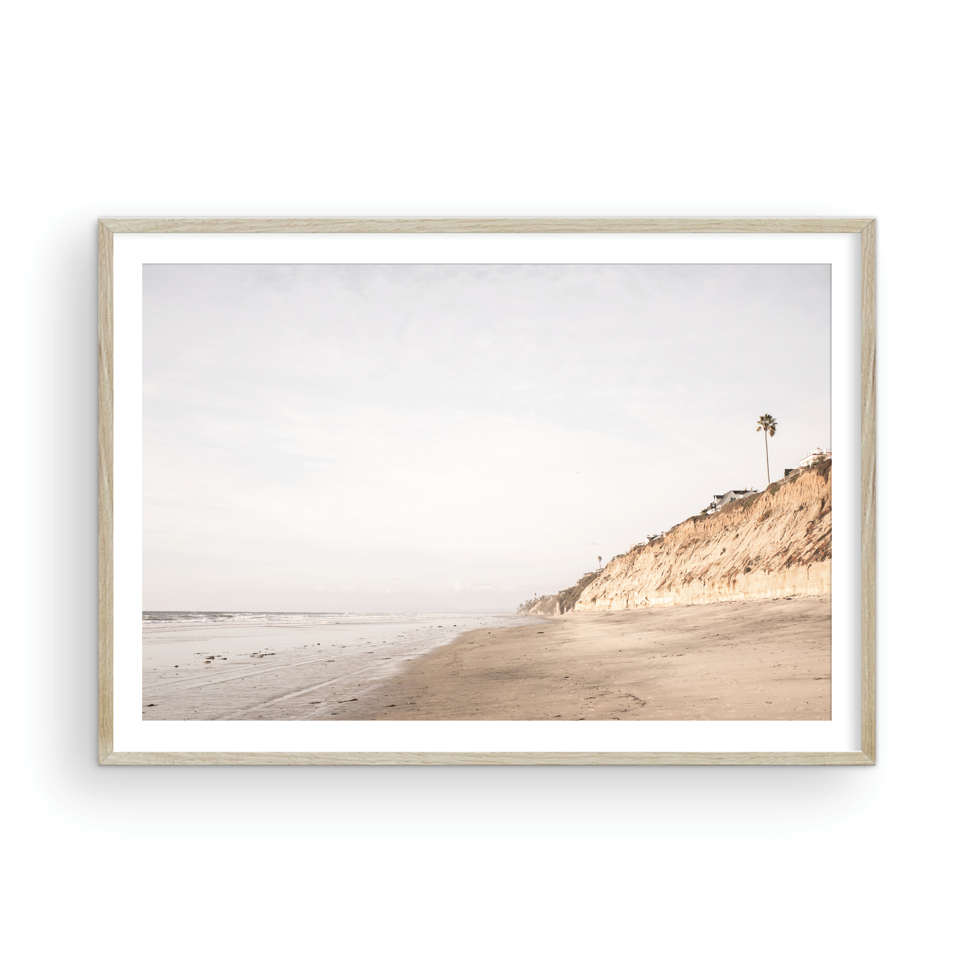 Beach scene with a palm tree on a cliff under a cloudy sky, the sandy shores meeting the tide. This image evokes surf vibes and summer. Photograph in minimalist mock up.