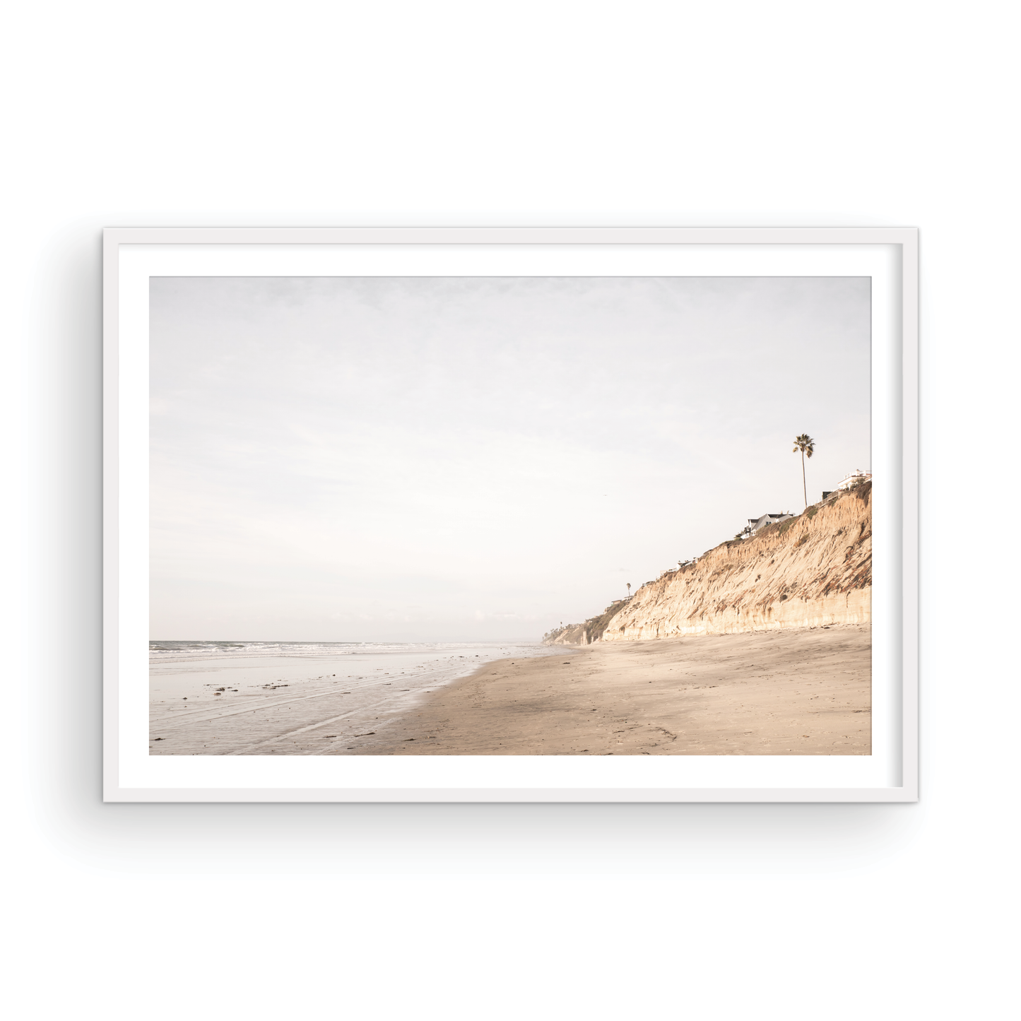 Beach scene with a palm tree on a cliff under a cloudy sky, the sandy shores meeting the tide. This image evokes surf vibes and summer. Photograph in minimalist mock up.