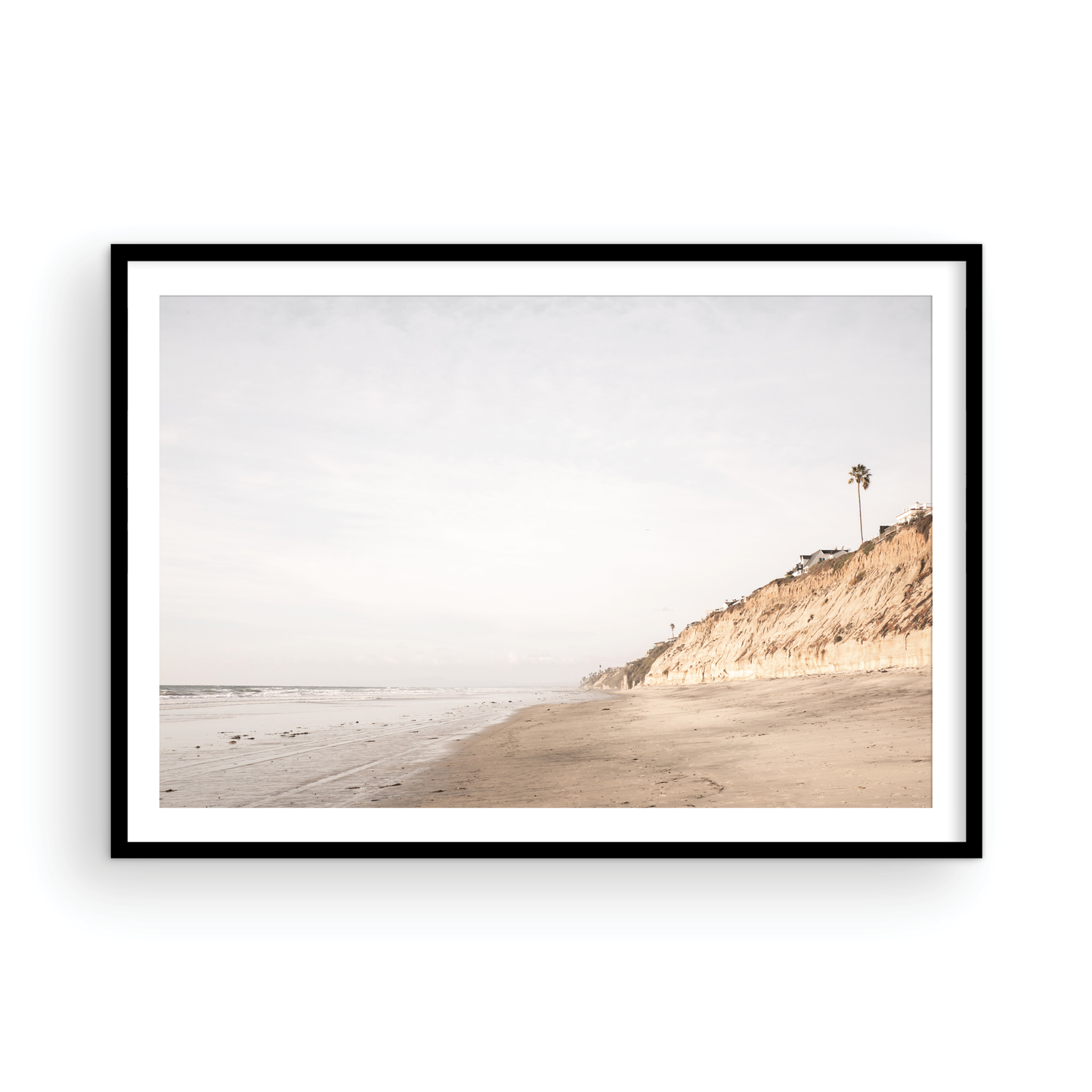 Beach scene with a palm tree on a cliff under a cloudy sky, the sandy shores meeting the tide. This image evokes surf vibes and summer. Photograph in minimalist mock up.