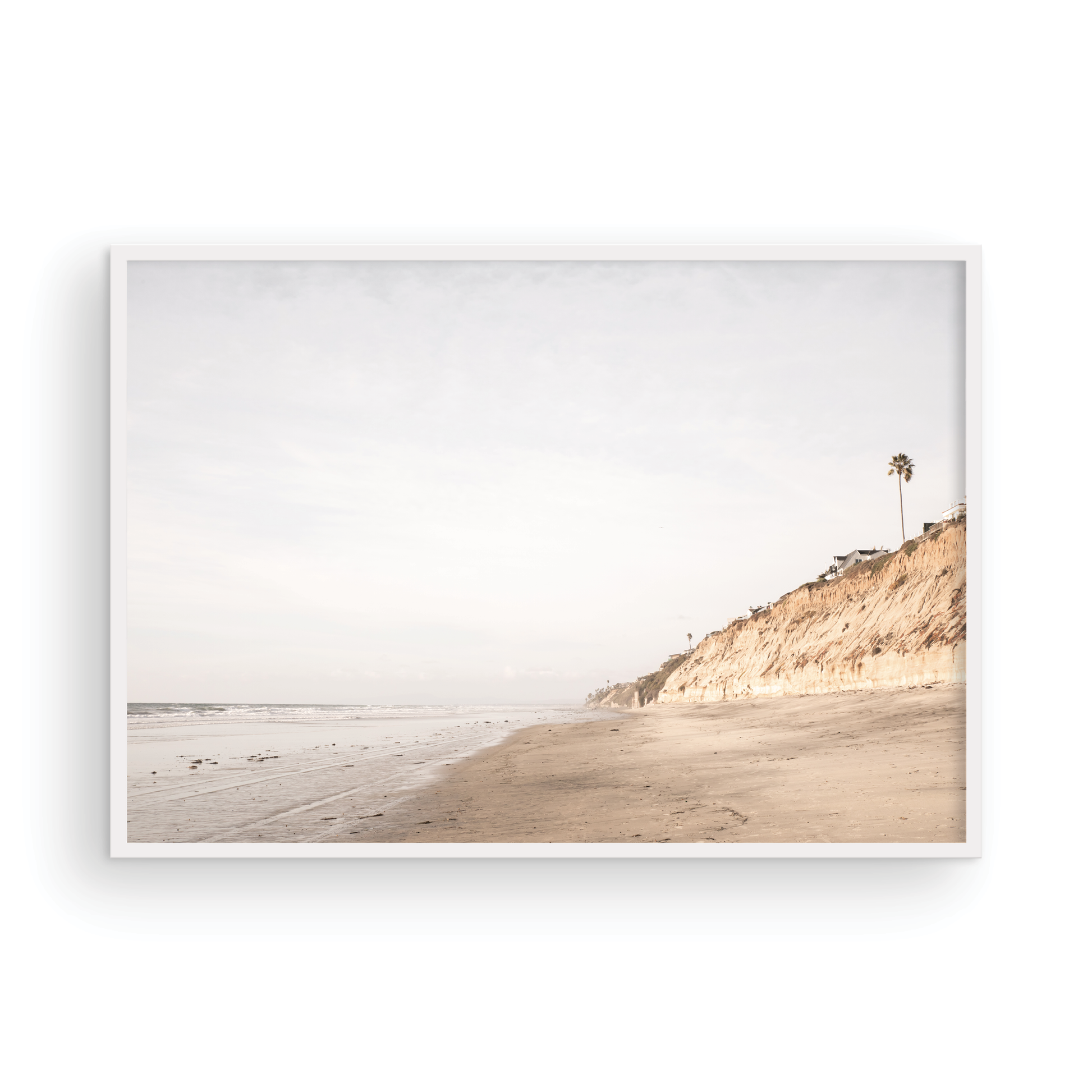 Beach scene with a palm tree on a cliff under a cloudy sky, the sandy shores meeting the tide. This image evokes surf vibes and summer. Photograph in minimalist mock up.