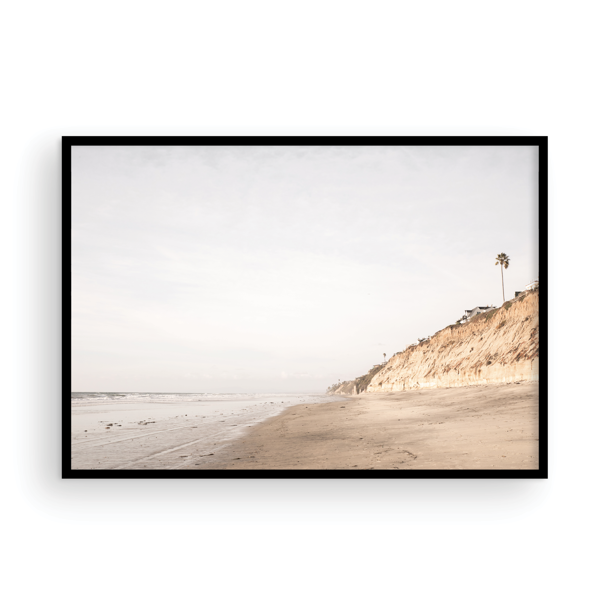 Beach scene with a palm tree on a cliff under a cloudy sky, the sandy shores meeting the tide. This image evokes surf vibes and summer. Photograph in minimalist mock up.