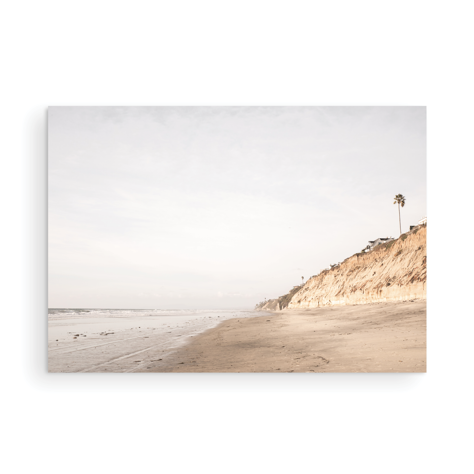 Beach scene with a palm tree on a cliff under a cloudy sky, the sandy shores meeting the tide. This image evokes surf vibes and summer. Photograph in minimalist mock up.