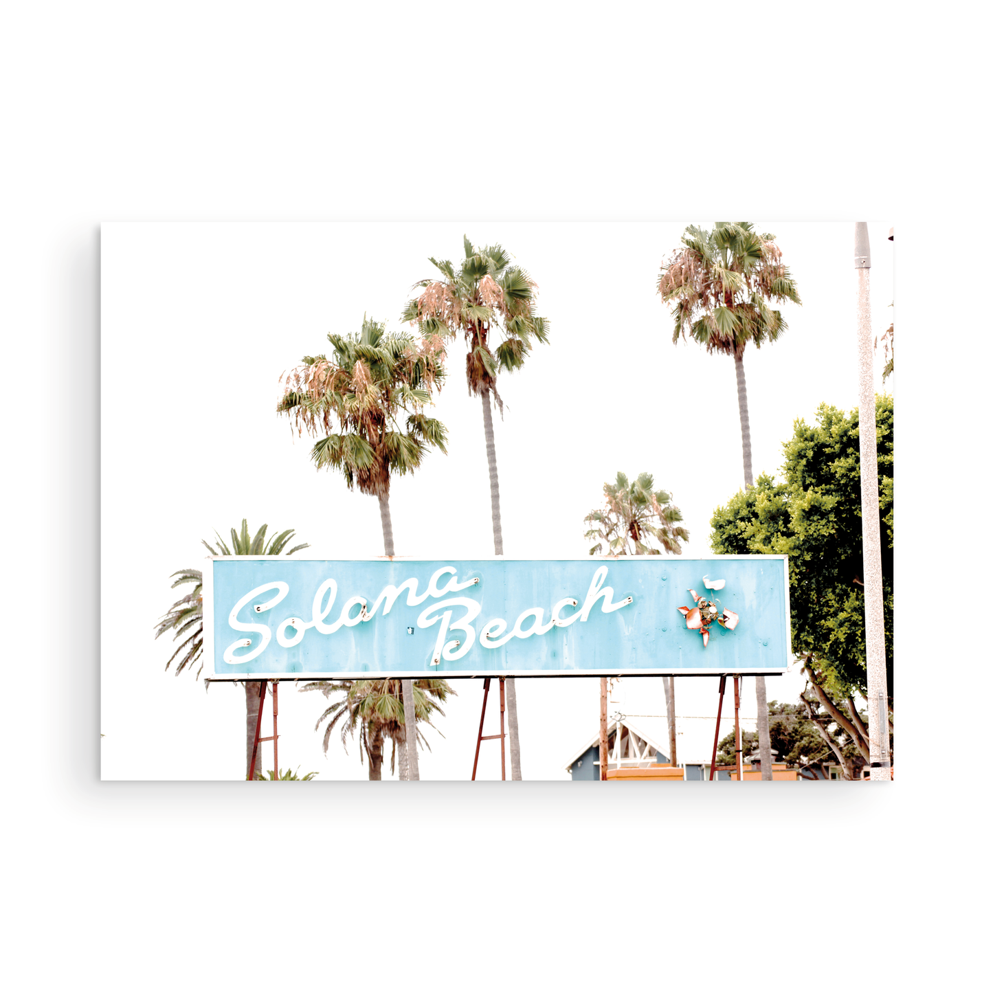 Colorful travel photography capturing the iconic 'Solana Beach' sign, a quintessential piece of Surf Signs San Diego art. The retro light blue sign, adorned with white cursive script and a unique steer head logo, is set against a backdrop of towering palm trees and a bright, hazy California sky. This Southern California surf beach sign evokes strong summer vibes and is perfect for coastal decor. Photograph in minimalist framed mock up.