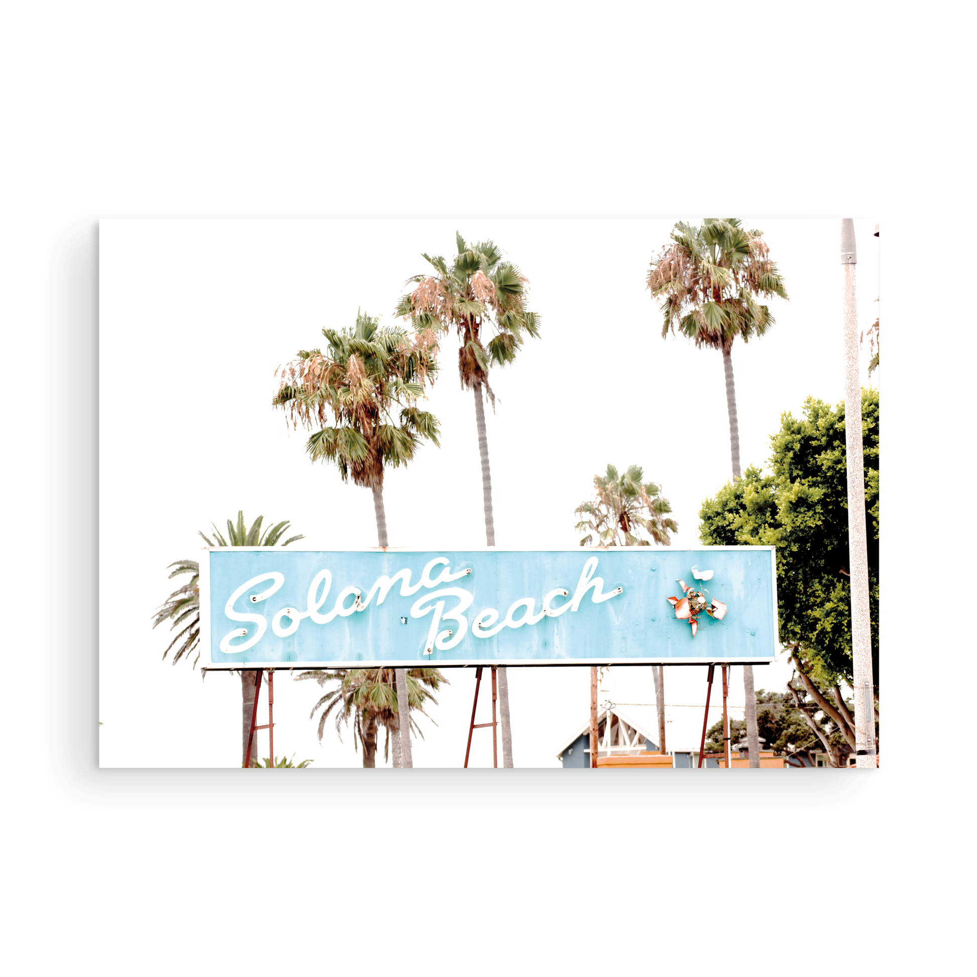 Colorful travel photography capturing the iconic 'Solana Beach' sign, a quintessential piece of Surf Signs San Diego art. The retro light blue sign, adorned with white cursive script and a unique steer head logo, is set against a backdrop of towering palm trees and a bright, hazy California sky. This Southern California surf beach sign evokes strong summer vibes and is perfect for coastal decor. Photograph in minimalist framed mock up.
