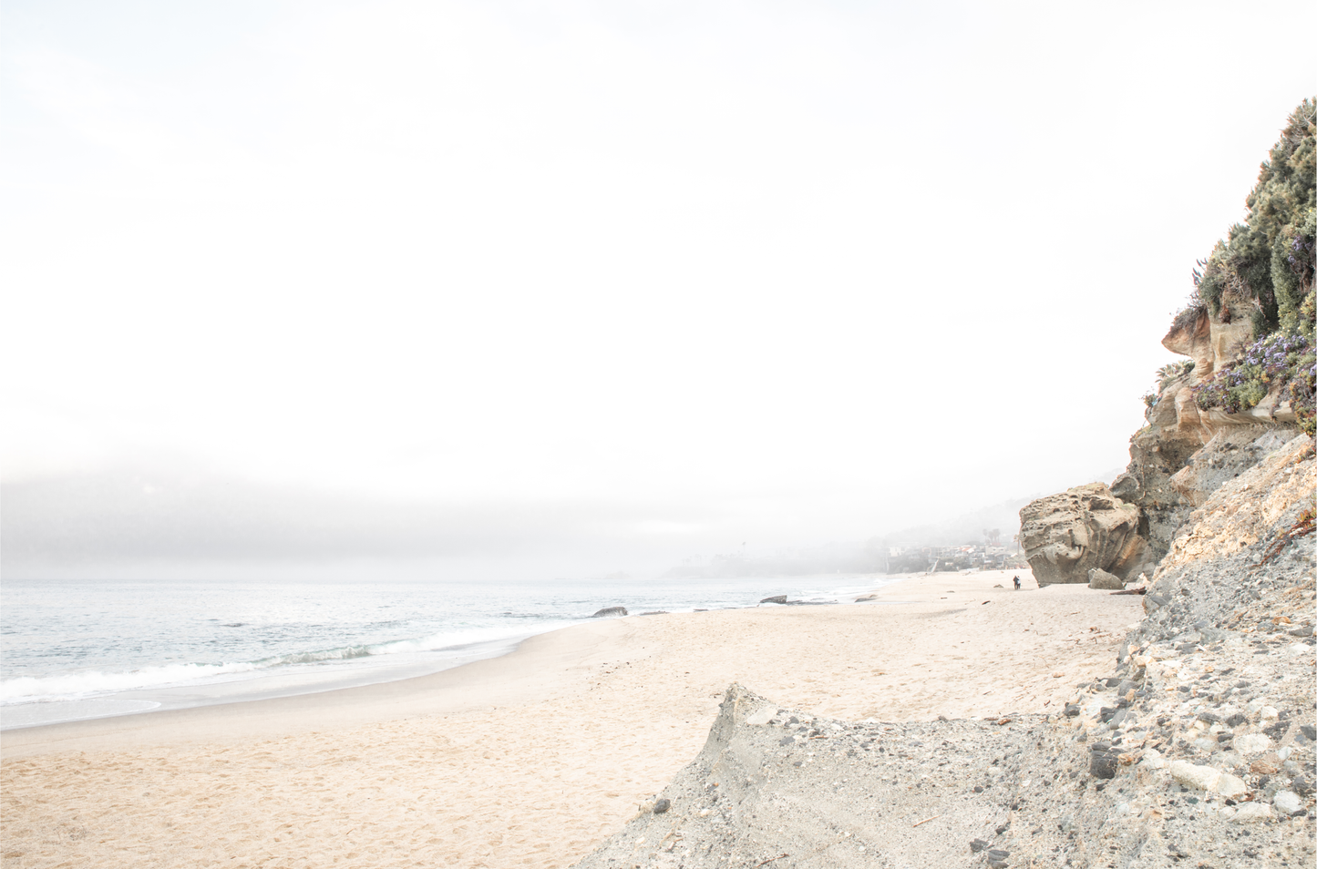Laguna Beach 8011