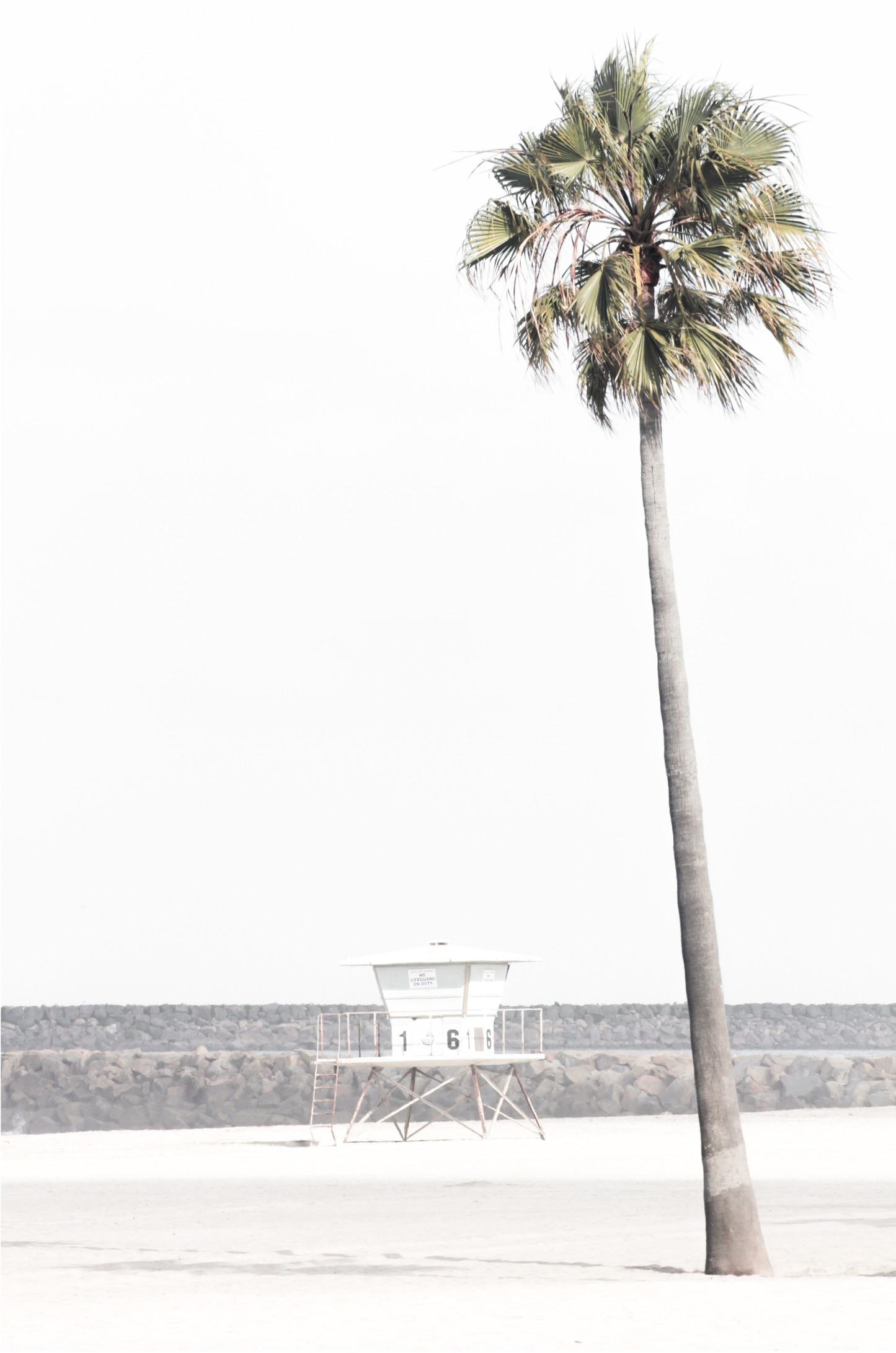Dreamy coastal palm tree print featuring a tall palm tree in the foreground and a pastel blue lifeguard tower centered in the distance. This vertical tropical print is captured at Oceanside Beach on the Southern California coast, is bathed in bright, hazy sunlight, creating a pastel beach art effect.