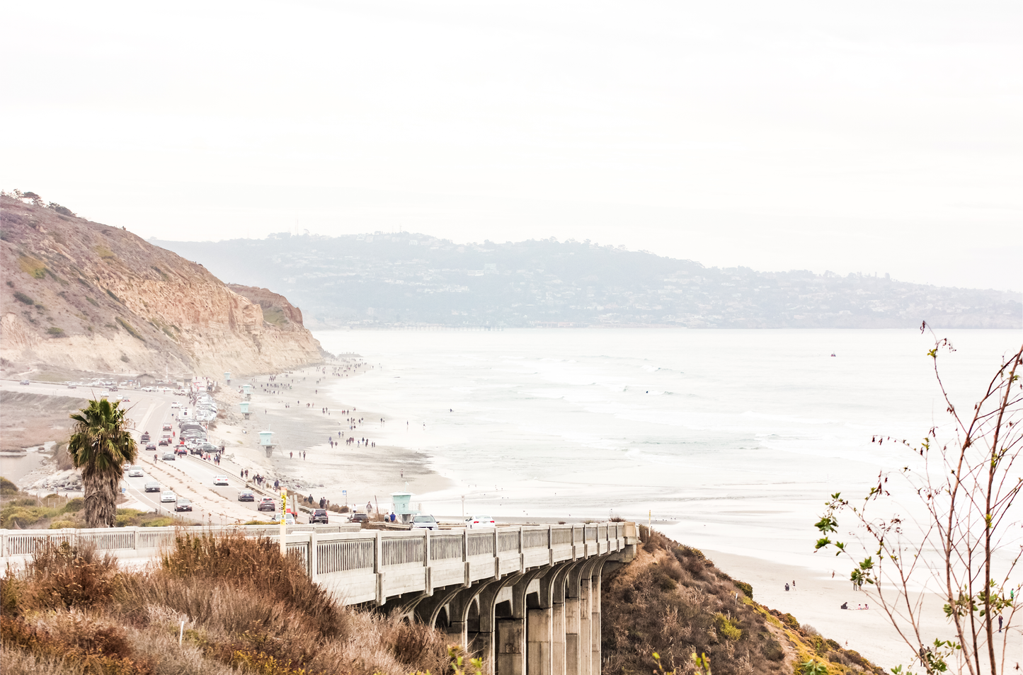 Captivating San Diego coast scene, presented as horizontal beach art. This piece of travel photography features a prominent bridge extending over a wide sandy beach with calm ocean waves. A coastal road winds along the base of rugged cliffs, with a lone coastal palm tree adding a touch of tropical essence to this Southern California seascape print.