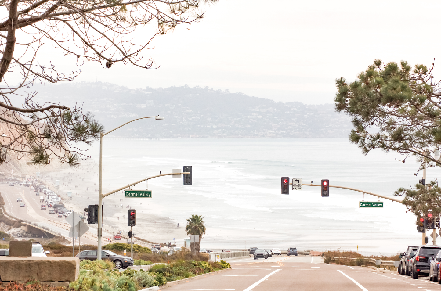 A hazy eye-level shot of San Diego Streets looks down a sloping road featuring red traffic lights and "Carmel Valley" signs, capturing a Local Surf Print vibe. The foreground of this California Wall Art showcases landscape and cars, framed by tree branches at the top, adding to the San Diego Photo aesthetic. The lighting suggests a hazy daytime, perfect for Minimalist Beach Wall Art. This horizontal San Diego print makes a great piece of horizontal beach wall decor.