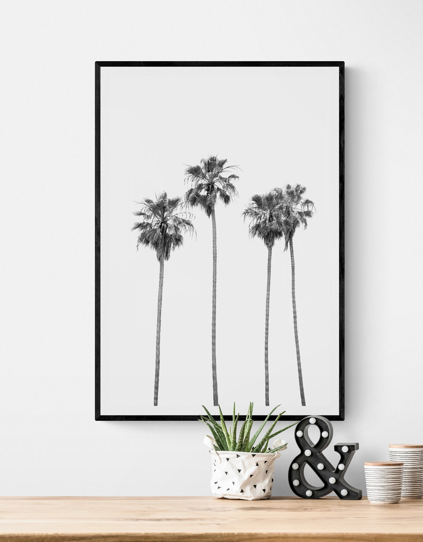 Palms 4853