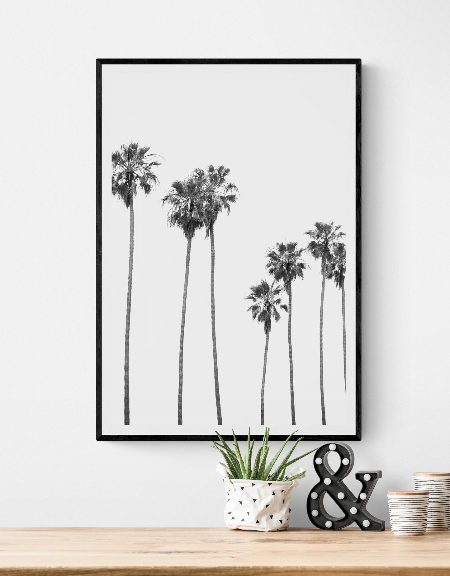 Palms 4863