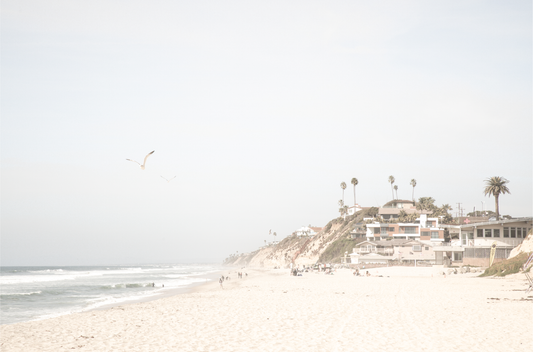 A bright, minimalist photograph of Moonlight State Beach in Encinitas, California, showing a wide sandy beach, gentle ocean waves, and residential buildings atop a cliff on the right, with a seagull flying in the hazy sky.