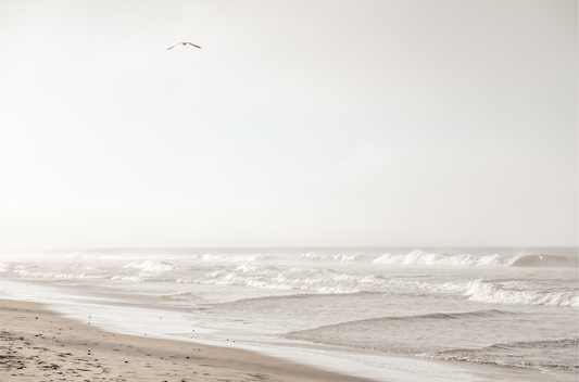 Minimalist ocean print featuring gentle ocean waves breaking on a sandy beach under a bright, hazy sky with a single bird in flight. A serene and neutral ocean print.