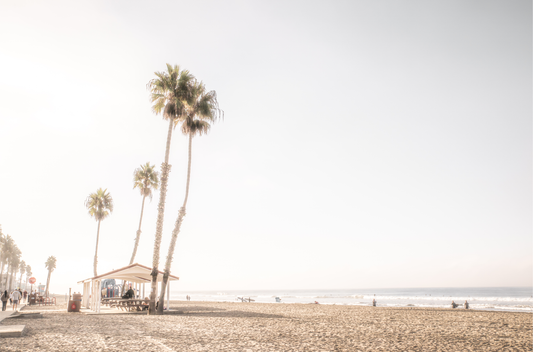 Landscape beach photography of Venice Beach, California, showcasing the sandy beach, ocean, and a small shelter with palm trees along the boardwalk. Captures the casual beach art feel.