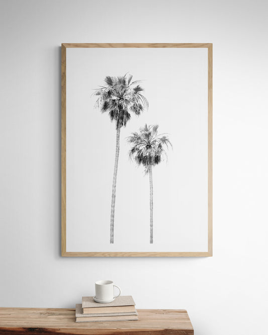 Minimalist palm tree print in black and white, showcasing two tall palm trees against a bright background. This vertical wall art is a coastal palm tree print. Photograph in minimalist mock up.