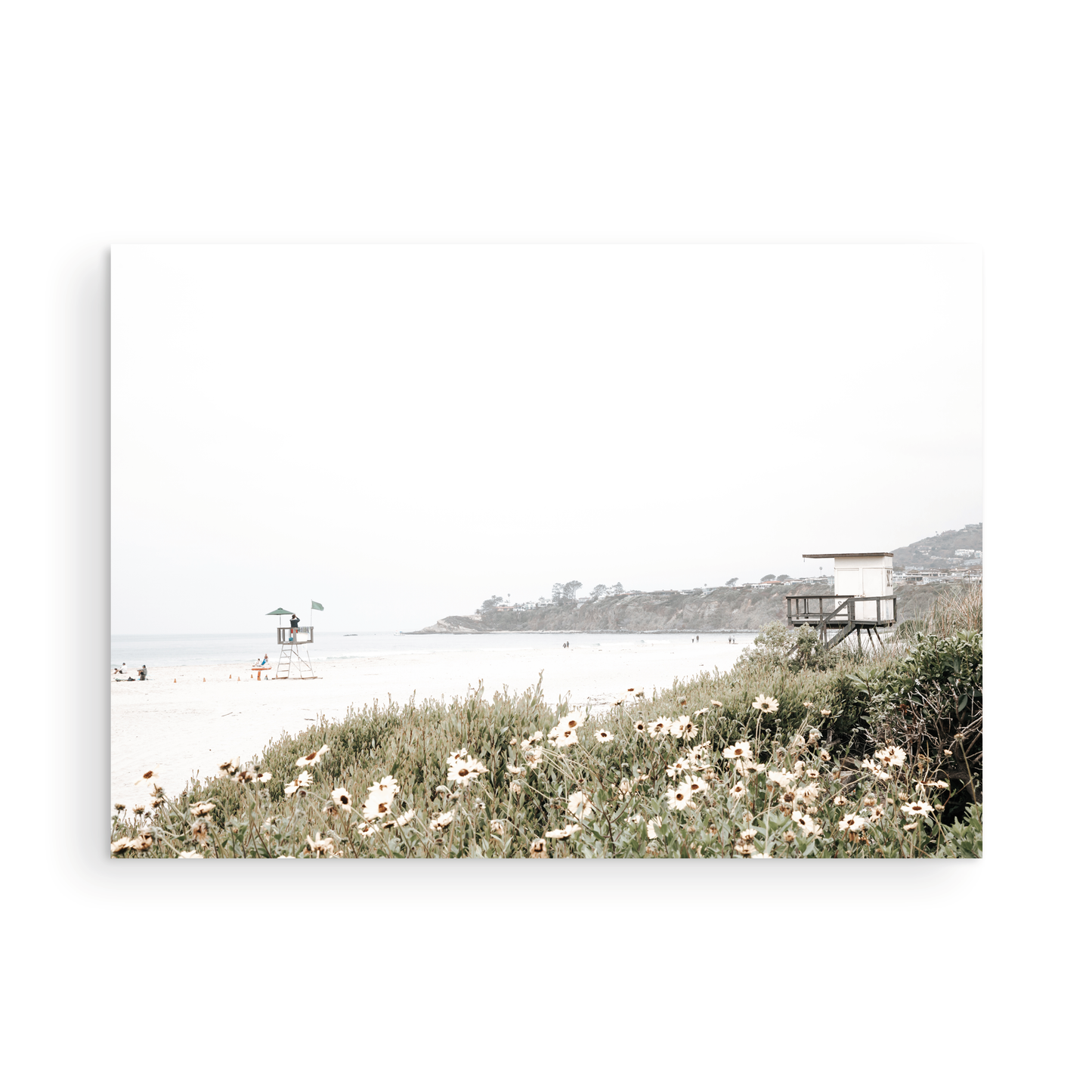 Landscape coastal photography of Salt Creek Beach Park, featuring a lifeguard tower and white flowers in the foreground, with distant cliffs. This calm beach print offers a serene coastal vibe. Photograph in minimalist mock up.