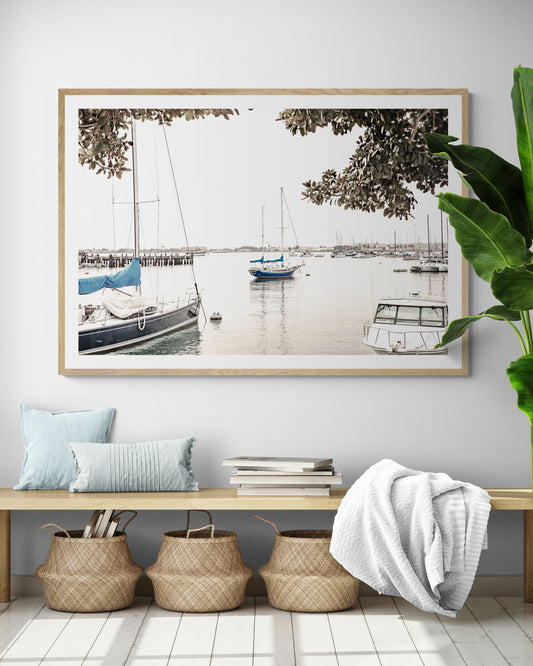 Landscape coastal photography of sailboats in San Diego Bay, framed by tree branches. This calm nautical print offers a coastal theme wall art. Photograph in minimalist mock up.