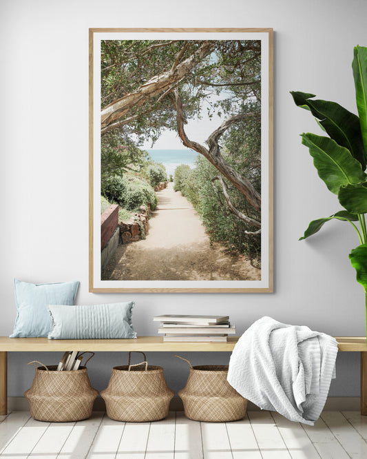 A serene landscape coastal photography print showing a path leading down to the ocean, framed by lush coastal foliage and winding branches. This vertical coastal photography piece captures the beauty of the Seaside Beach, on the California coast, perfect for a beach house decor. Photograph in minimalist mock up.