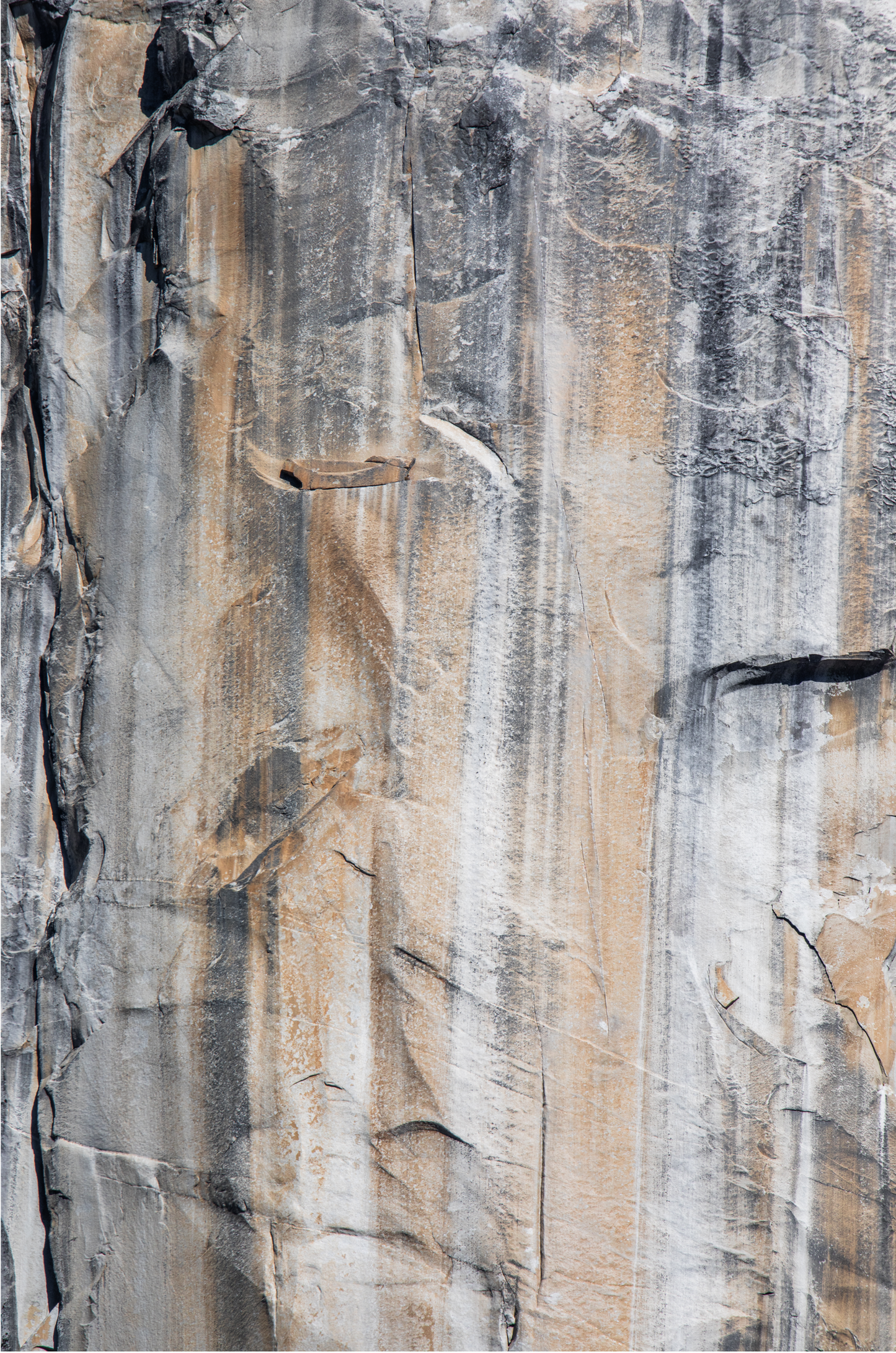 Fine art Yosemite Valley vertical landscape print by Southern California photographer Kim Dybczak of Salt Creek Prints, featuring a multi colored granite cliff side.