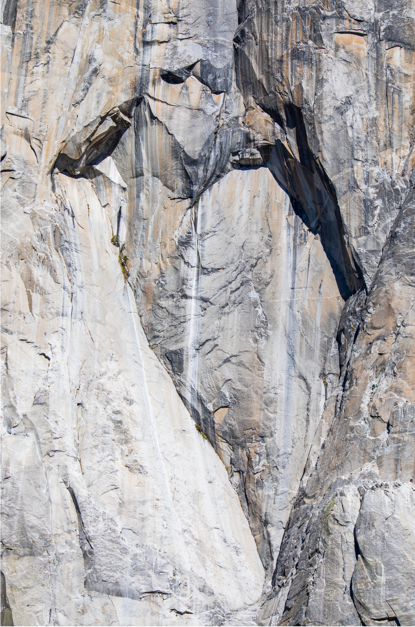 Fine art Yosemite Valley vertical landscape print by Southern California photographer Kim Dybczak of Salt Creek Prints, featuring a multi colored granite cliff side.
