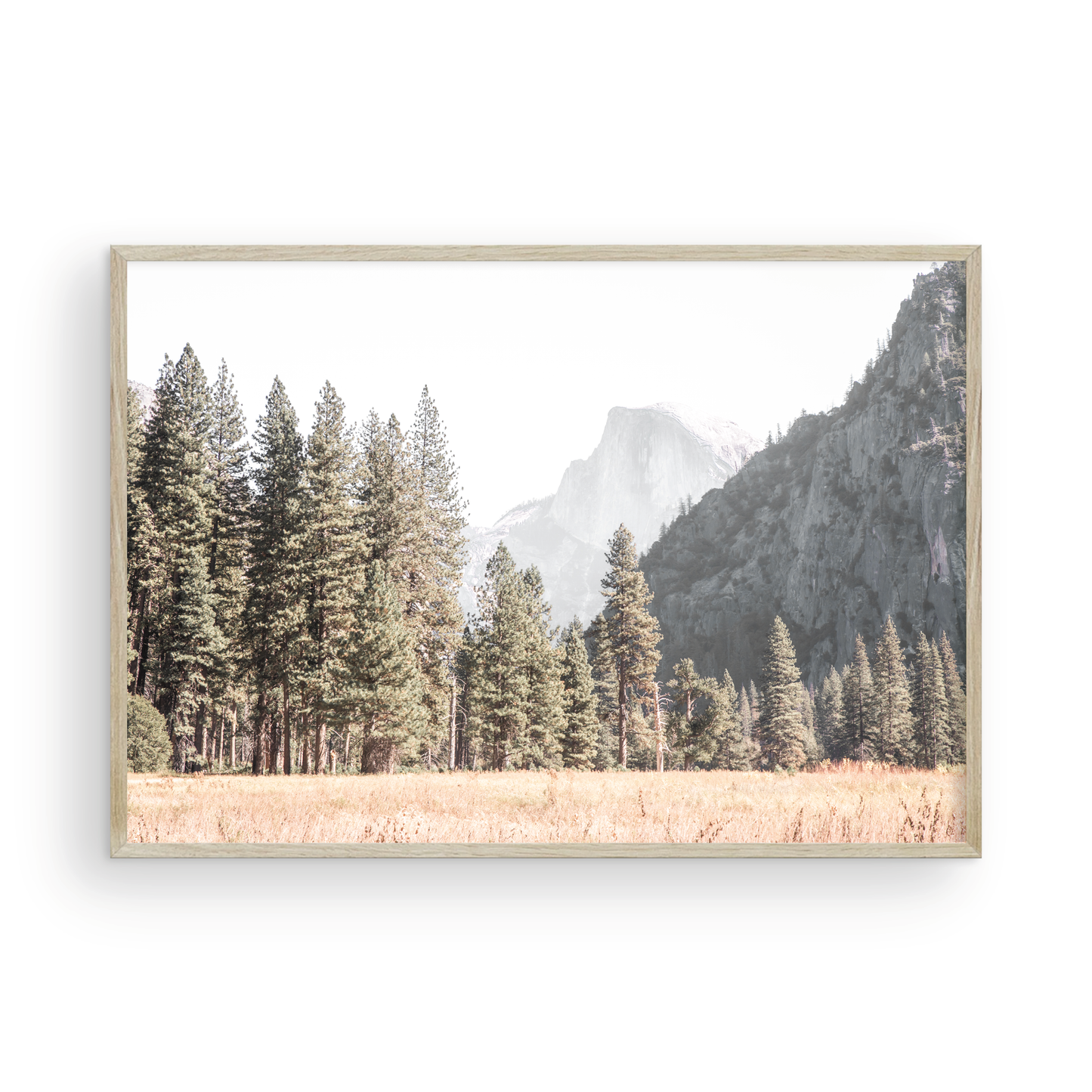 Fine art Yosemite Valley horizontal landscape print by Southern California photographer Kim Dybczak of Salt Creek Prints, featuring a golden field and granite cliffs with with a valley in the mountains distance. Photograph in minimalist mock up