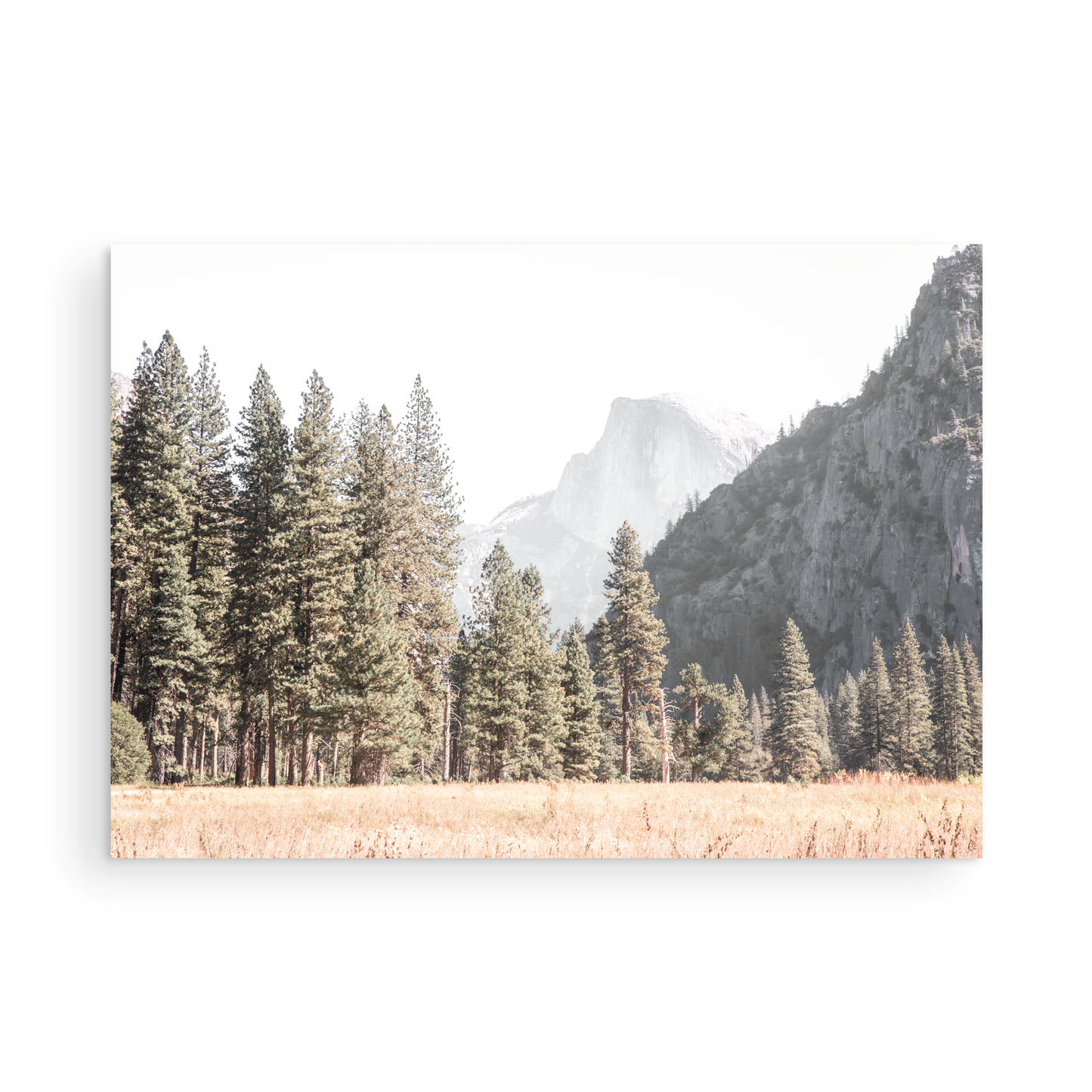 Fine art Yosemite Valley horizontal landscape print by Southern California photographer Kim Dybczak of Salt Creek Prints, featuring a golden field and granite cliffs with with a valley in the mountains distance. Photograph in minimalist mock up