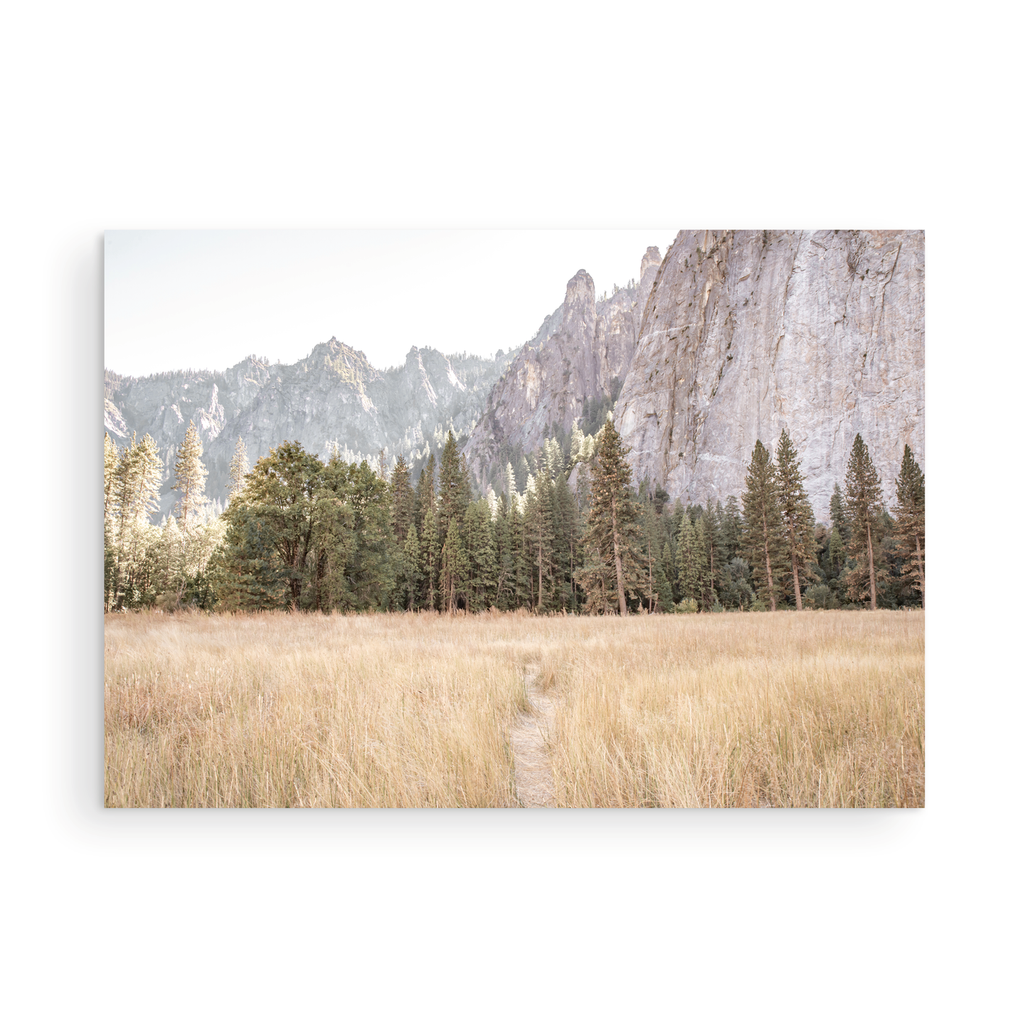Fine art Yosemite Valley horizontal  landscape print by Southern California photographer Kim Dybczak of Salt Creek Prints, featuring a golden field and granite cliffs with with a valley in the mountains distance. Photograph in minimalist mock up