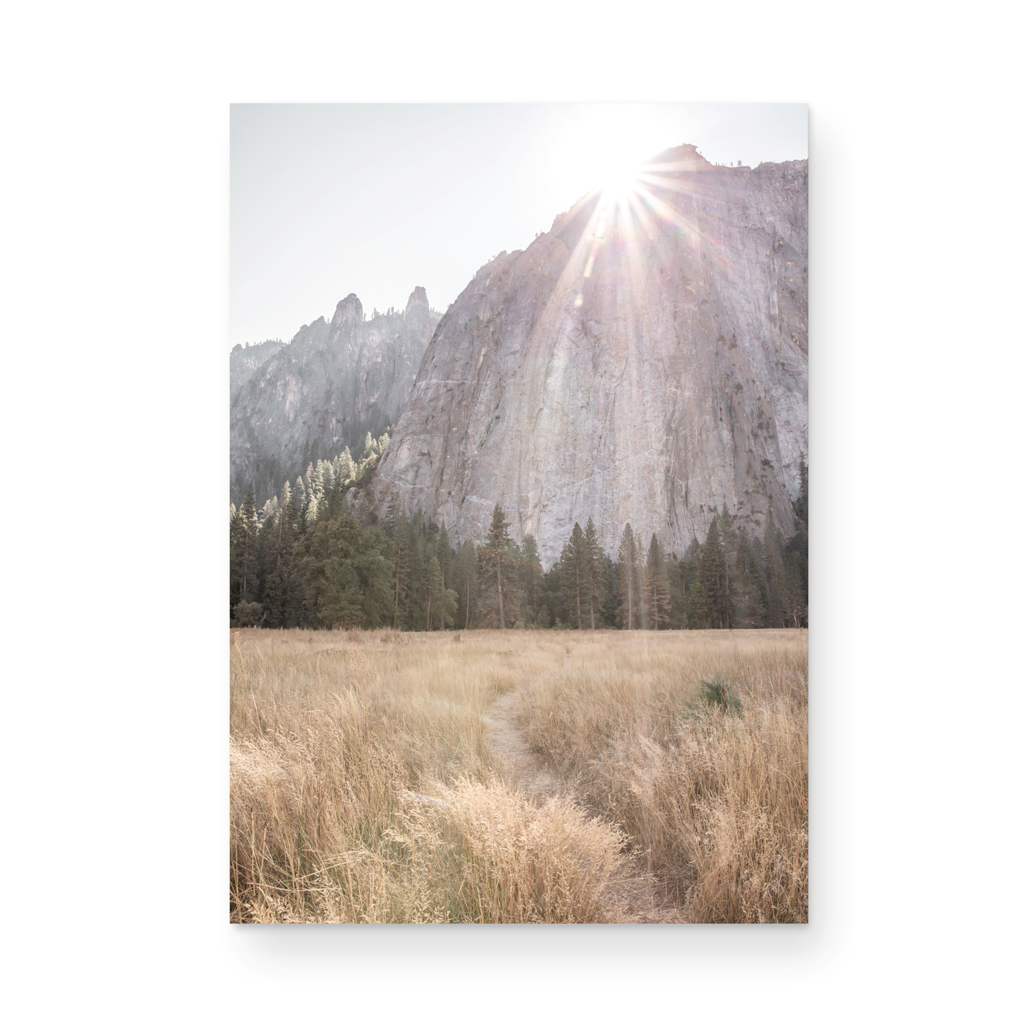 Fine art Yosemite Valley landscape print by Southern California photographer Kim Dybczak of Salt Creek Prints, featuring a golden field and granite cliffs with sunlight streaming over the mountains. Photograph in minimalist mock up
