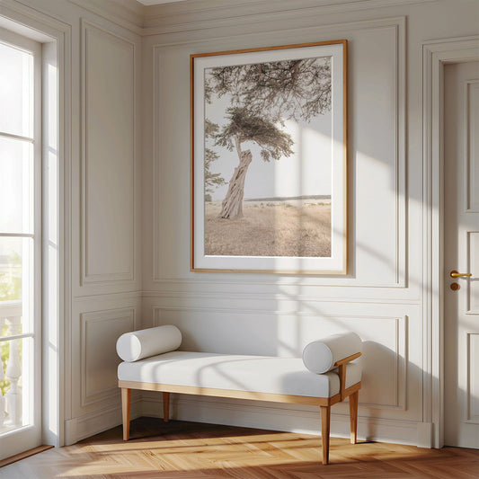 Framed photo of: Point Reyes 7157 displayed above a bench in a luxury hallway.