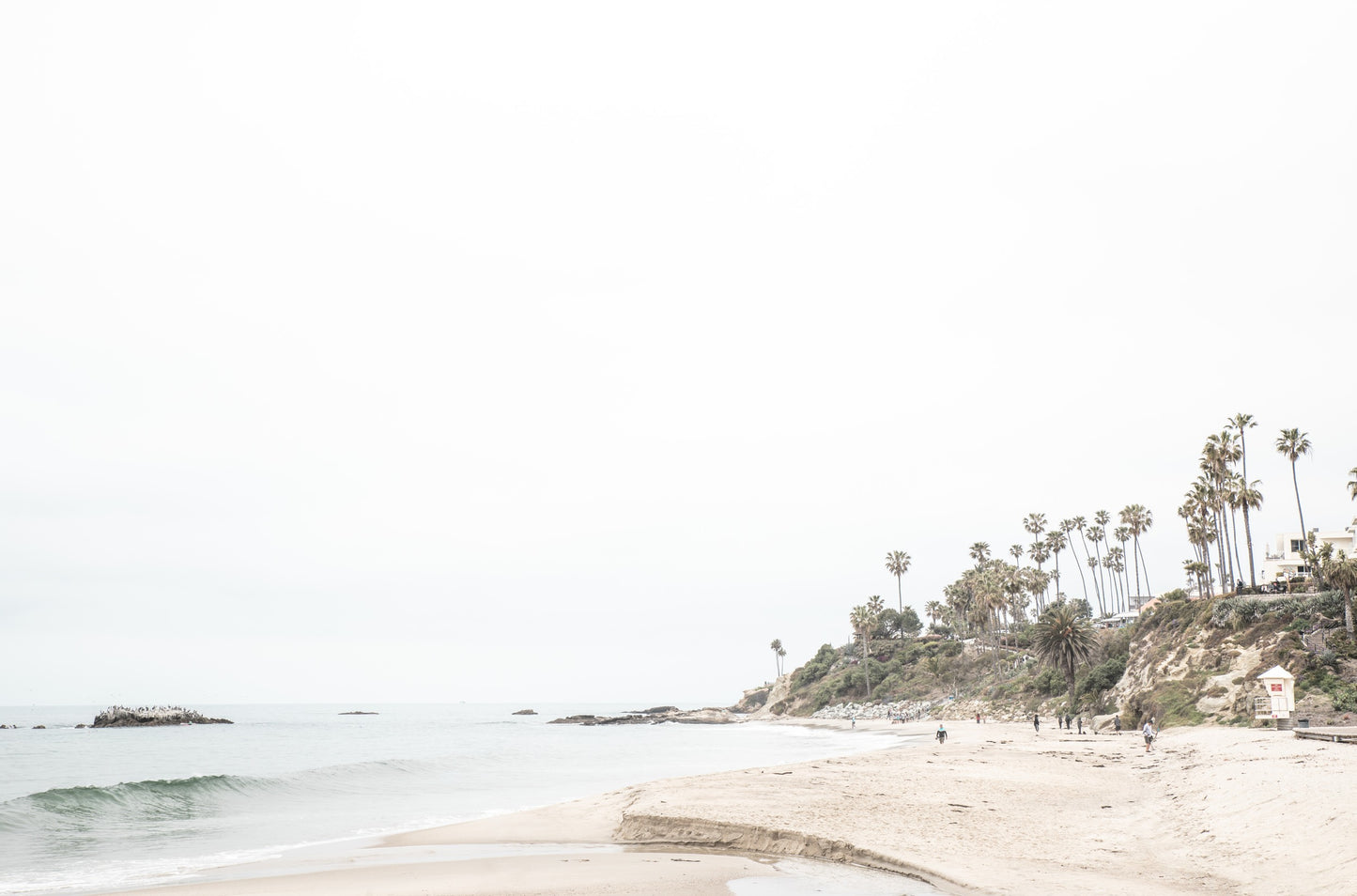 Photography by Kim Dybczak of: Laguna Beach 8095