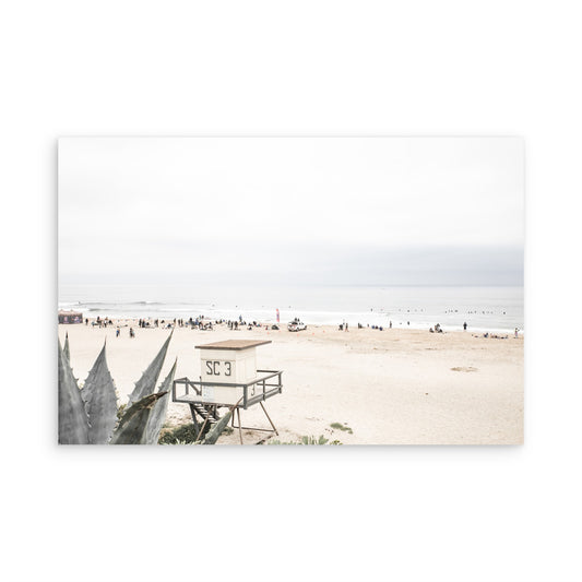 Salt Creek Beach 8169