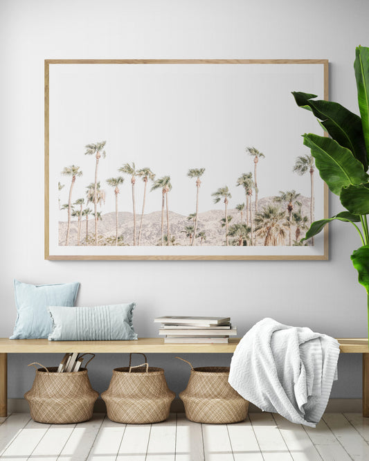 Landscape coastal photography showing a wide expanse of palm trees in Palm Springs with hazy mountains in the background. A minimalist palm tree print. Photograph in minimalist mock up.