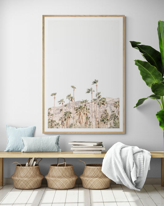 Vertical coastal photography showing a wide expanse of palm trees in Palm Springs with hazy mountains in the background. A minimalist palm tree print. Photograph in minimalist mock up.