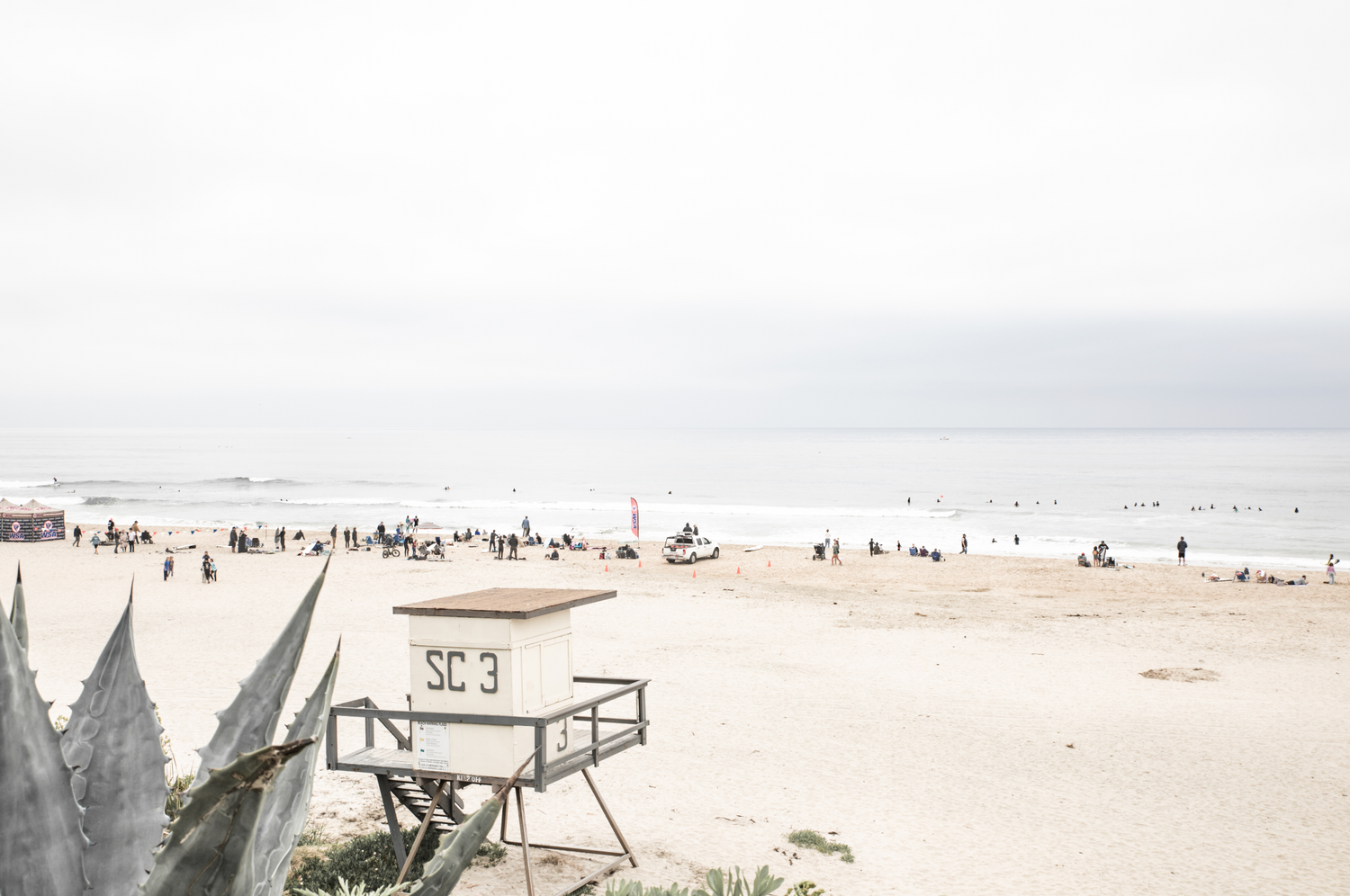 Salt Creek Beach