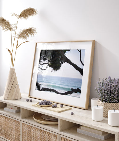 An ocean view reveals surfers on gentle waves, with a white bird soaring. Tree branches provide a natural, rustic foreground to the serene scene, taken at a beach in Del Mar, San Diego. Photograph in minimalist mock up.