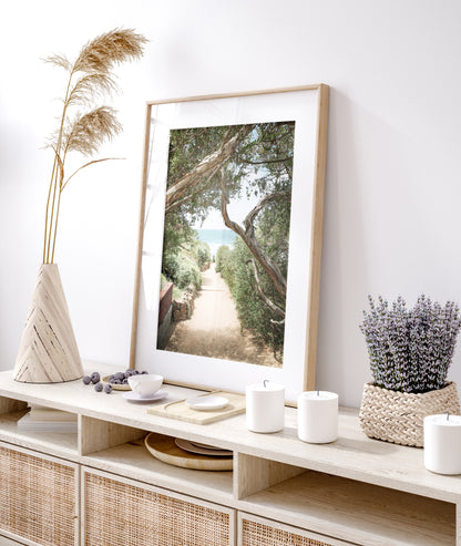 A serene landscape coastal photography print showing a path leading down to the ocean, framed by lush coastal foliage and winding branches. This vertical coastal photography piece captures the beauty of the Seaside Beach, on the California coast, perfect for a beach house decor. Photograph in minimalist mock up.