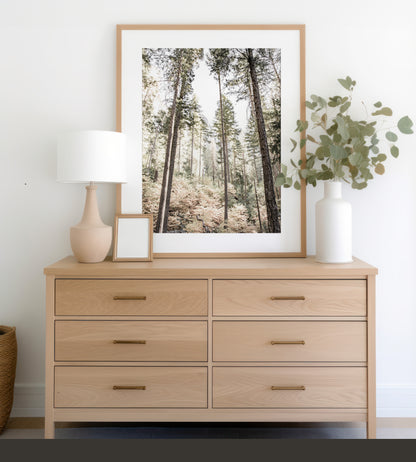 Fine art Yosemite Valley forest vertical  landscape print by Southern California photographer Kim Dybczak of Salt Creek Prints, featuring tall trees. Photograph in minimalist mock up