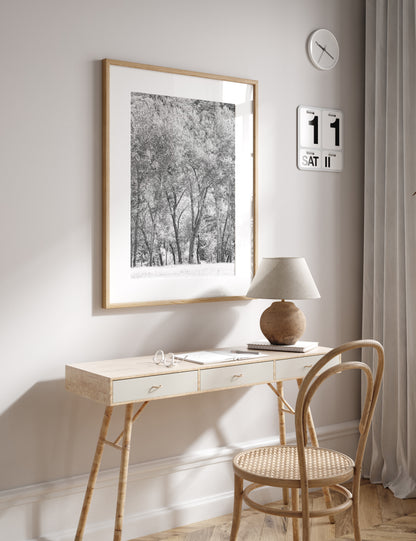 Fine art Yosemite Valley forest vertical  landscape black and white print by Southern California photographer Kim Dybczak of Salt Creek Prints, featuring tall trees. Photograph in minimalist mock up